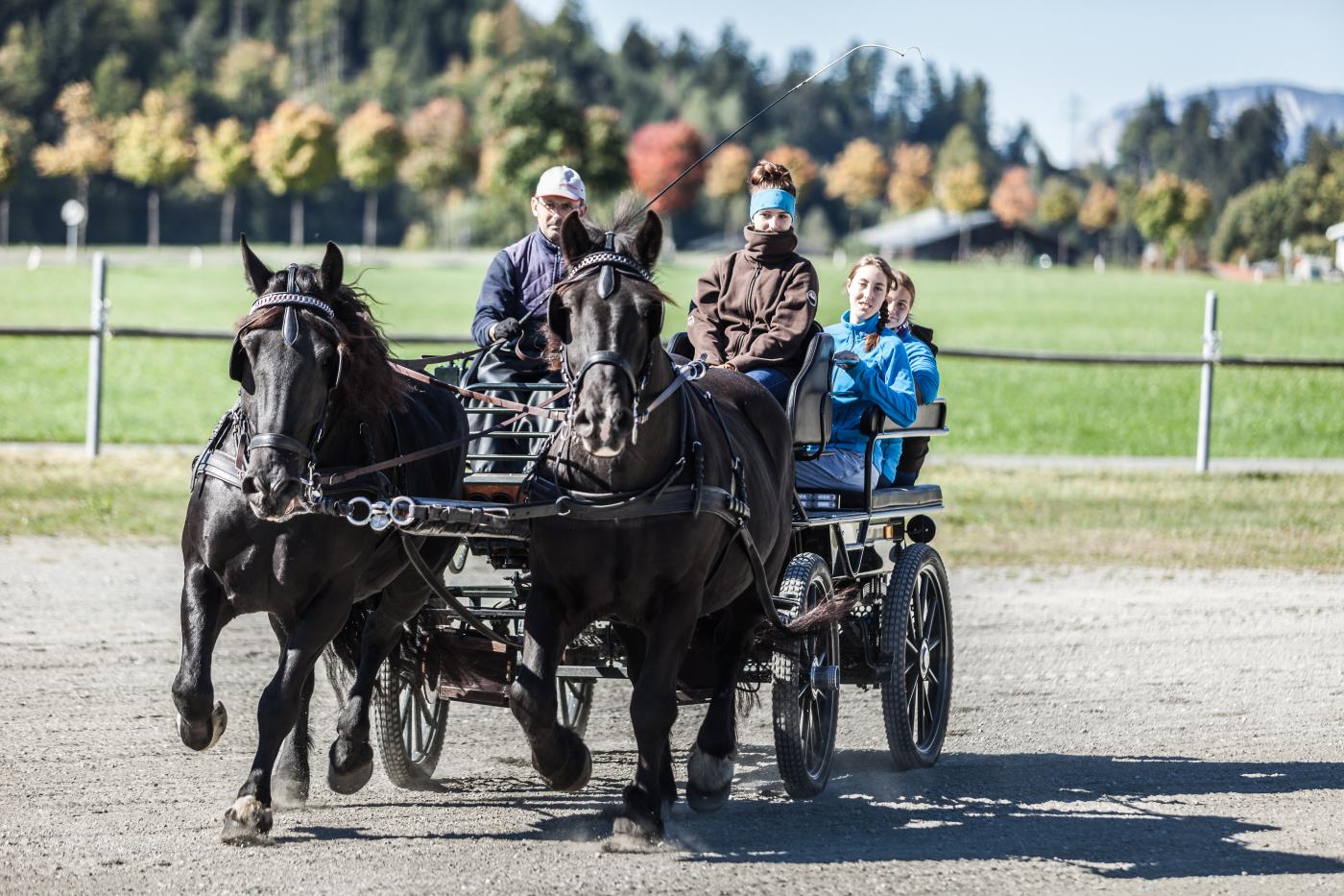 Schülerinnen der LLA Weitau fahren ein Pferdegespann Schülerinnen der LLA Weitau fahren ein Pferdegespann