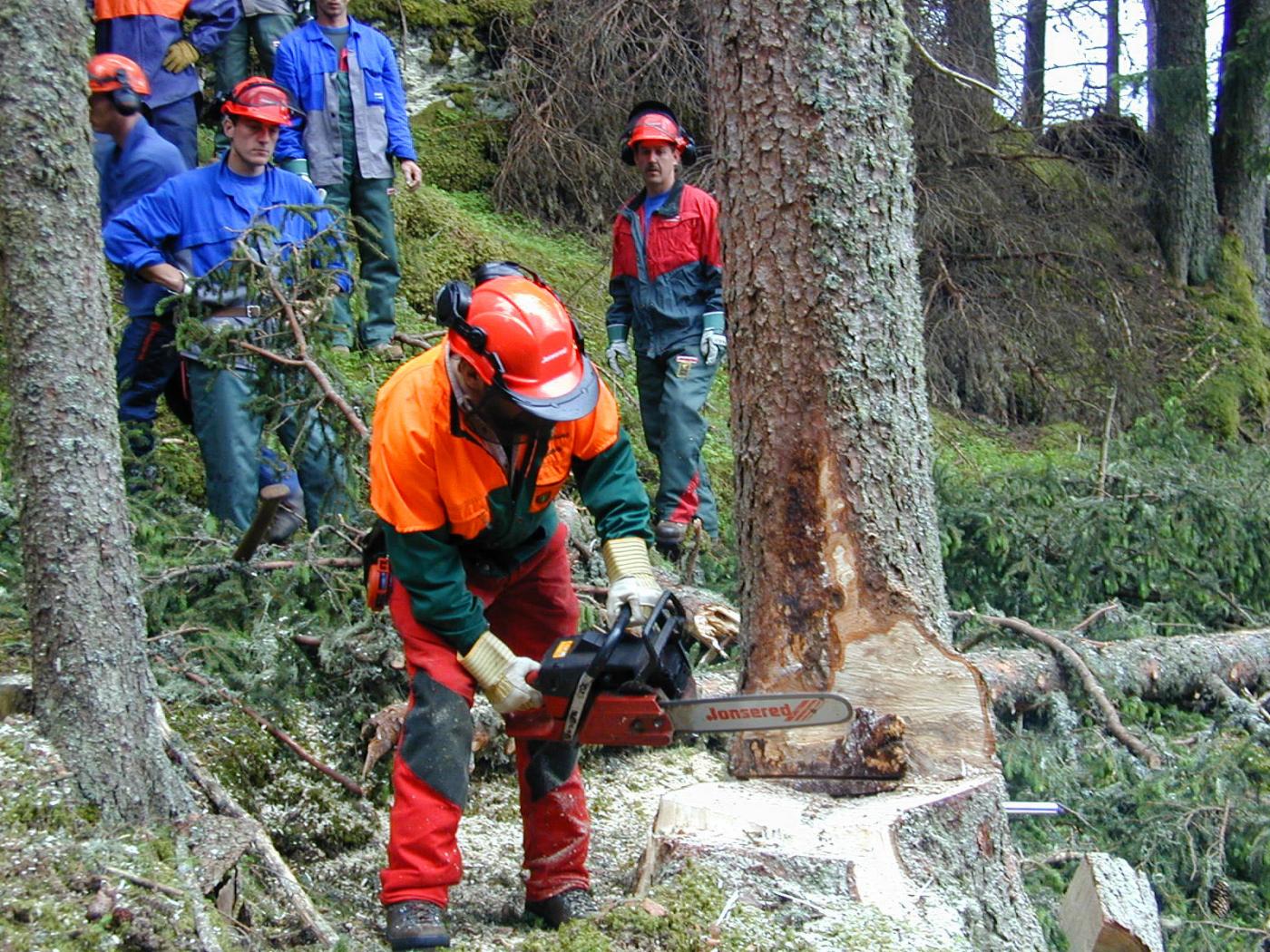 LLA Imst Keilschnitt